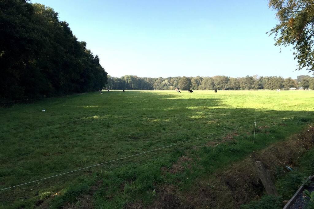 Natuurhuisje Veluwe Met Houtkachel En Pizzaoven Villa Ermelo Eksteriør billede